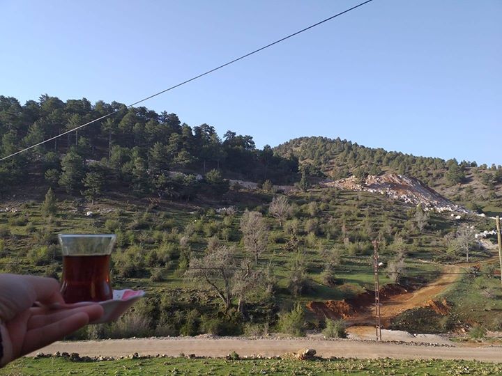 Aysun