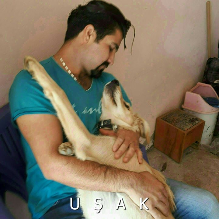 Orhan