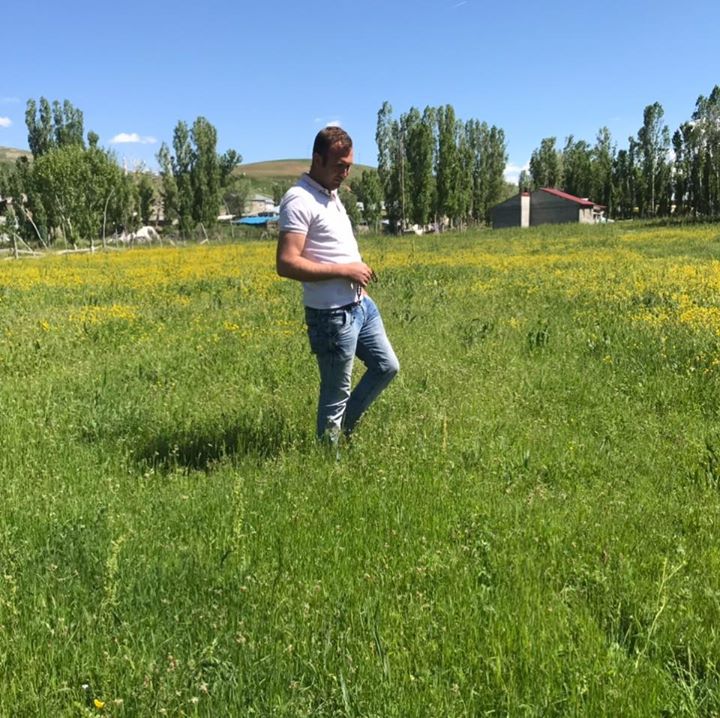 Bariş