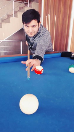 Şahin