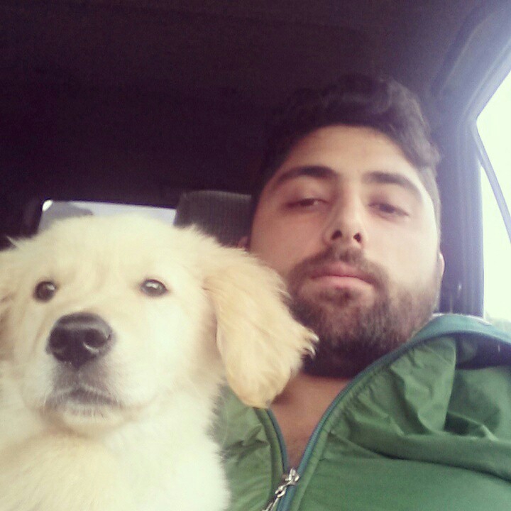 Tırıngo