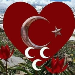 Sedat