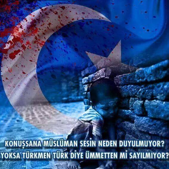 Poyraz