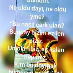 Jede