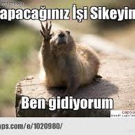 Birhat