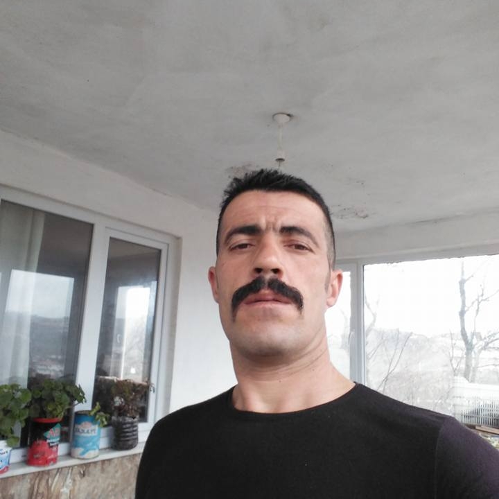 Bilgin