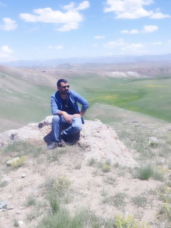 Doğan