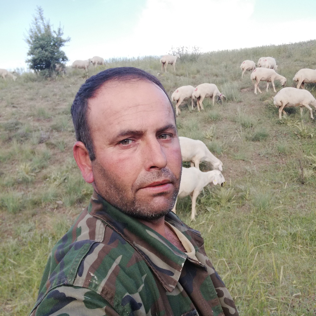 Ayhan
