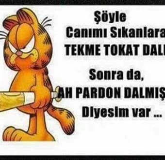 Melek
