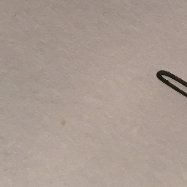 Esatcan