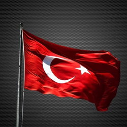 Alkan