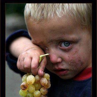 Sedat