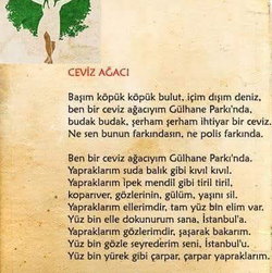 Seda