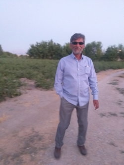 Cumaali