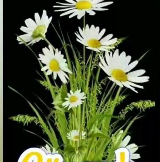 Meryem