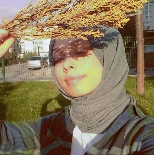 Sonnur