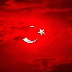 Sedat