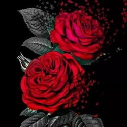 Gayu