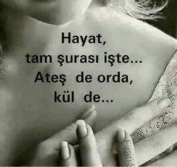 Abdülmuttalib