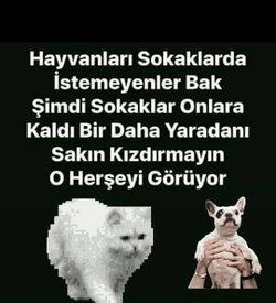 Kendini