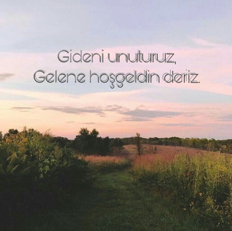 Şeyda