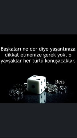 Soner