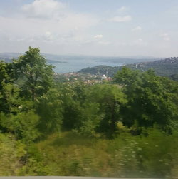 Cınar