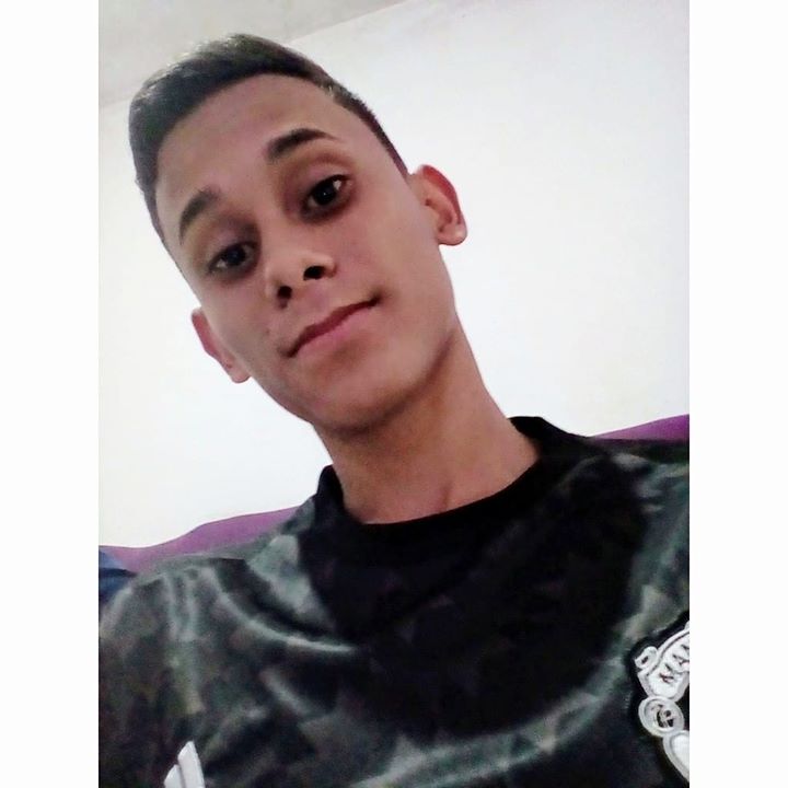 Allisom