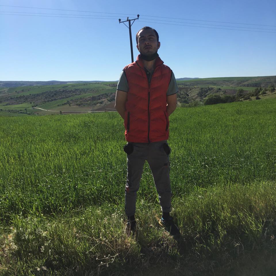 Mert