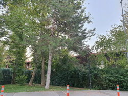 Selçuk