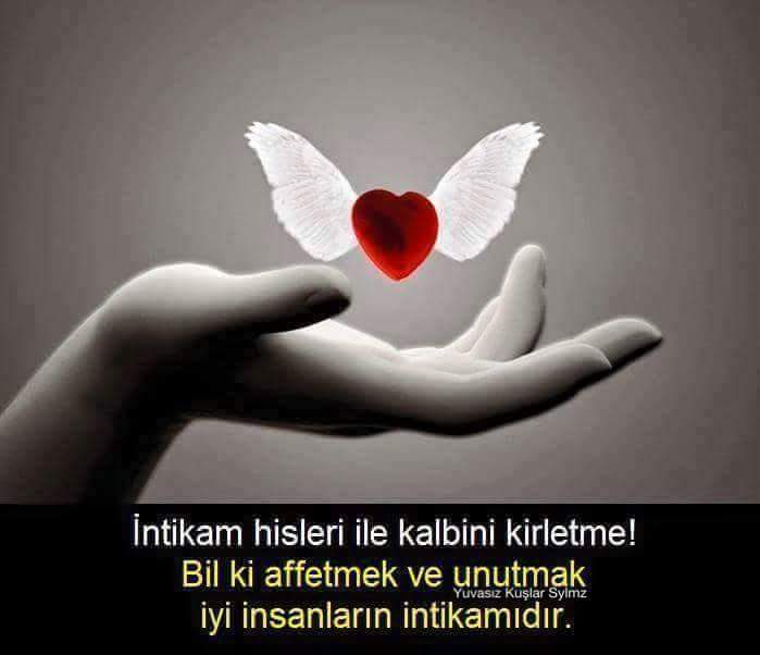Çiğdem