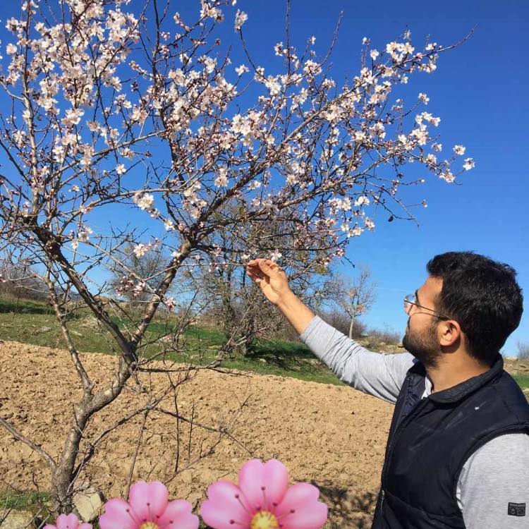 Abdulgaffar