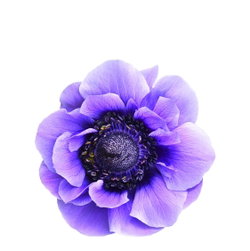 Yilmaz