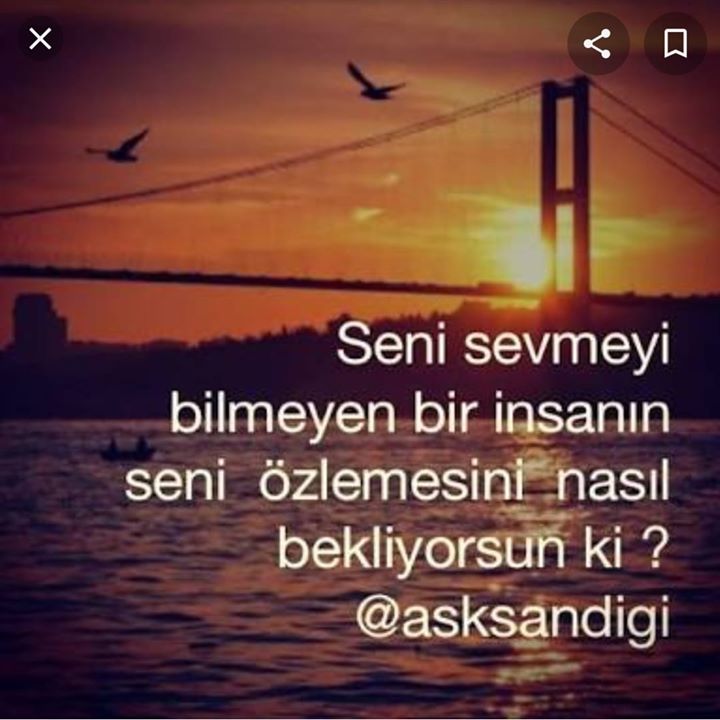 Duygu
