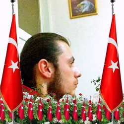 Tarkan