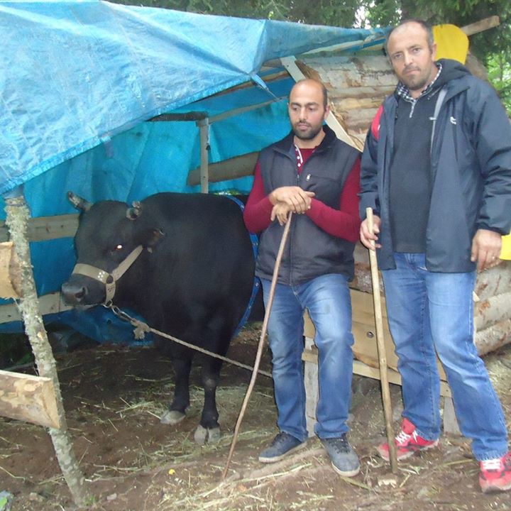 Ahmet