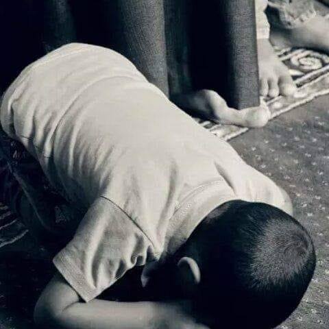 Abdul