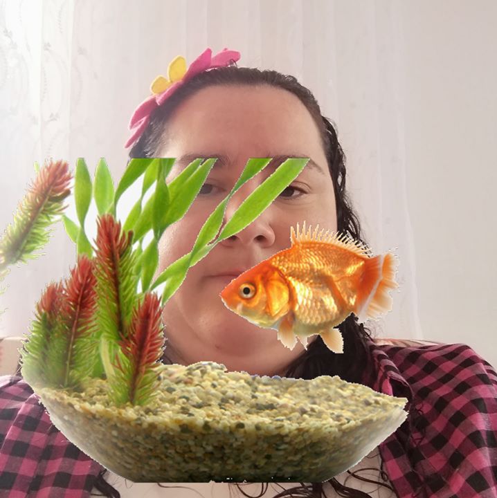 Zehra