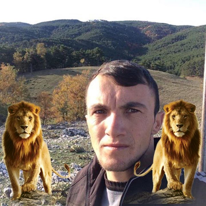 Mümin