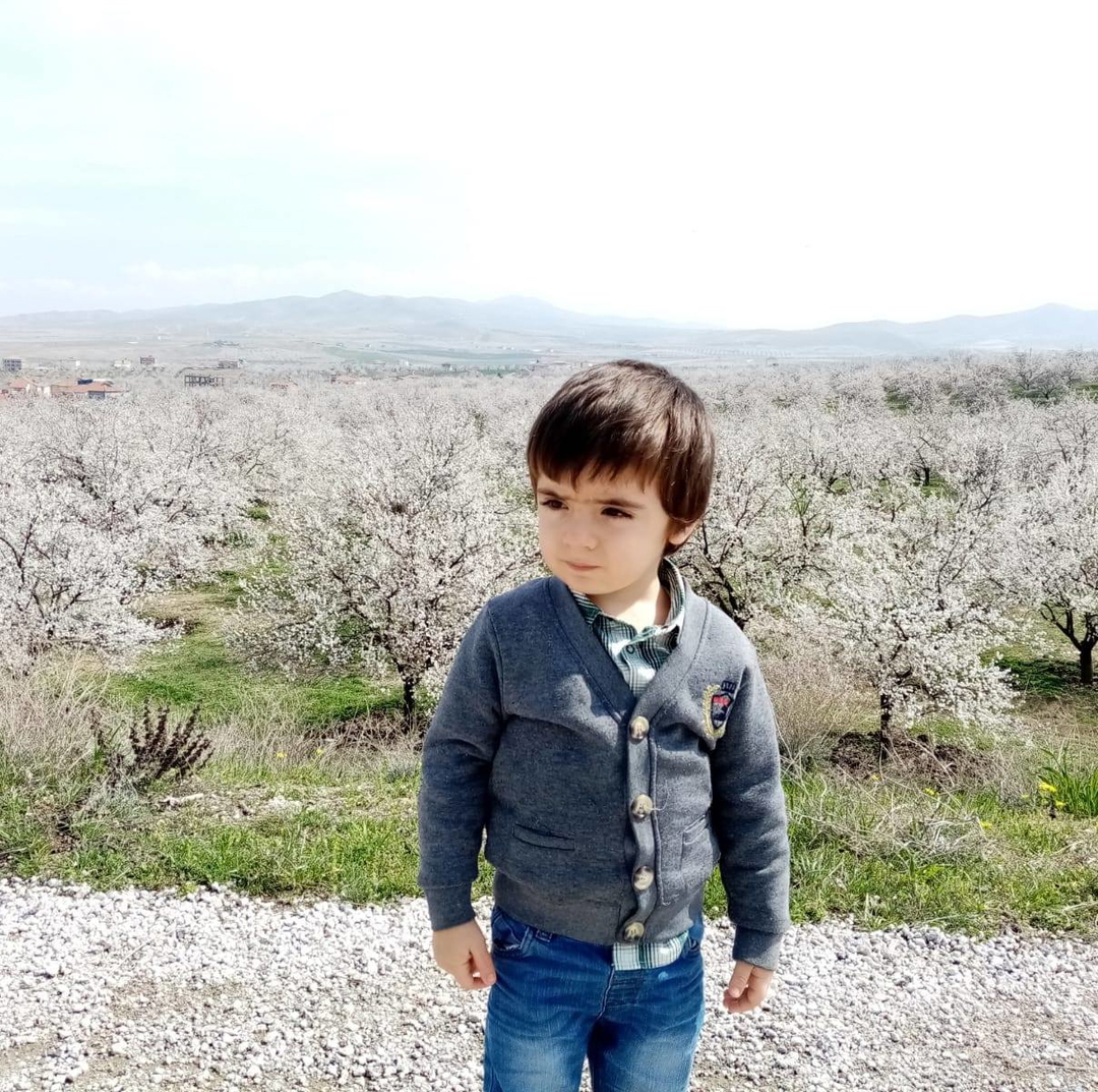 Songul