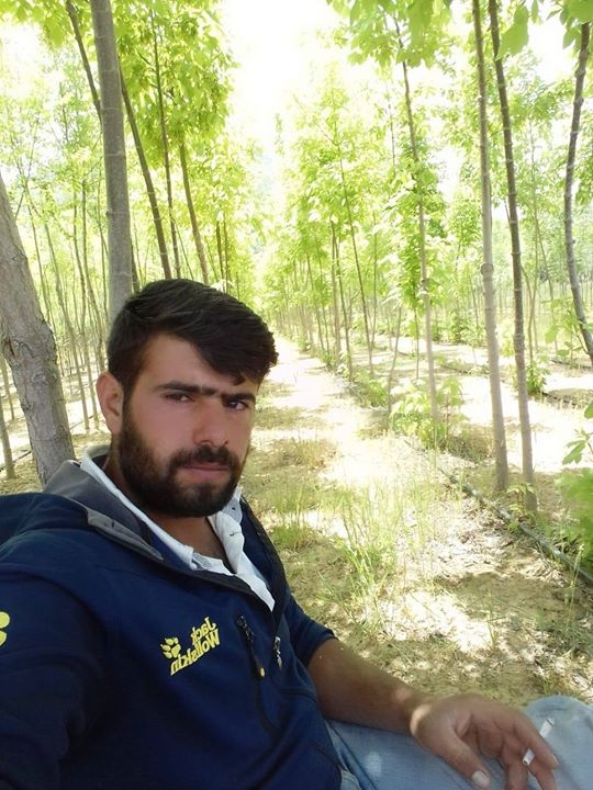 M Halil
