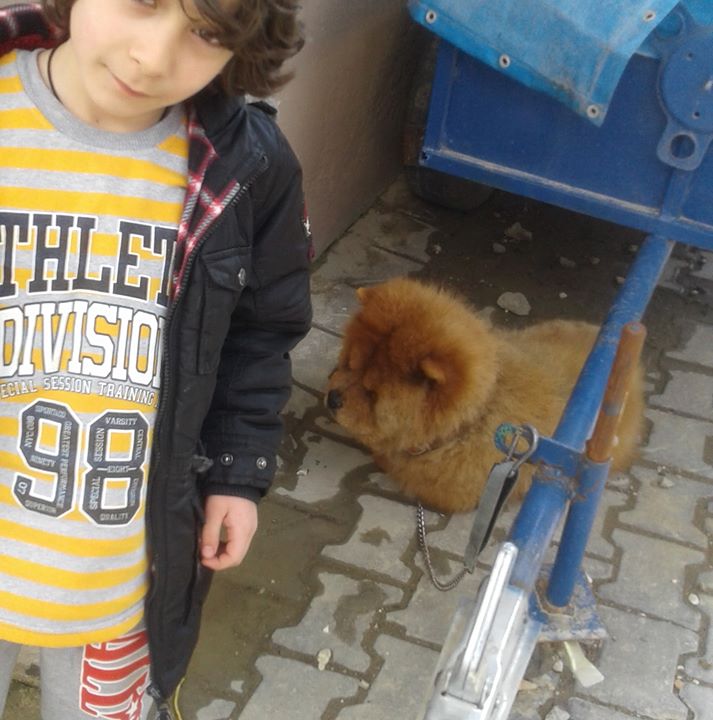Sadettin
