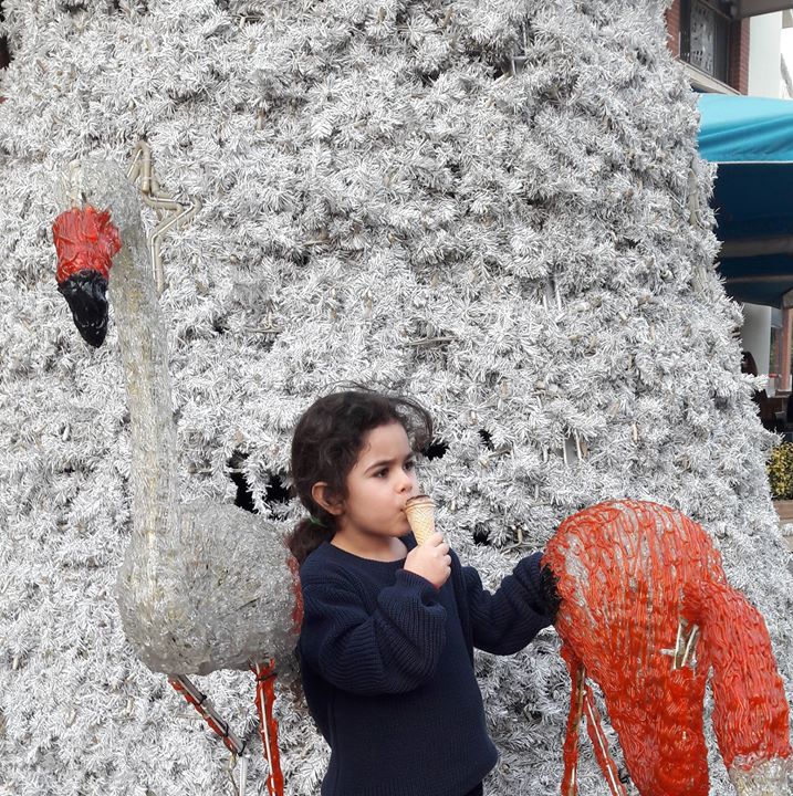 Ayse