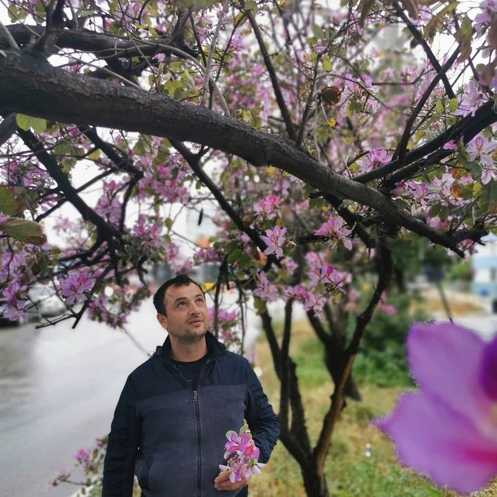 Halil