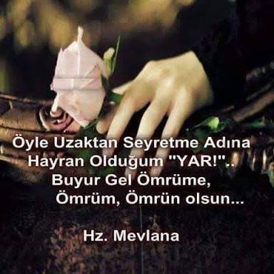 Tolga