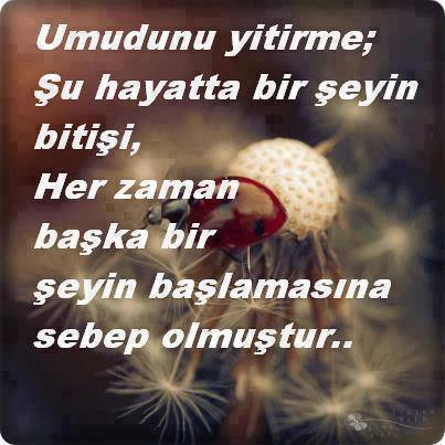 Mete