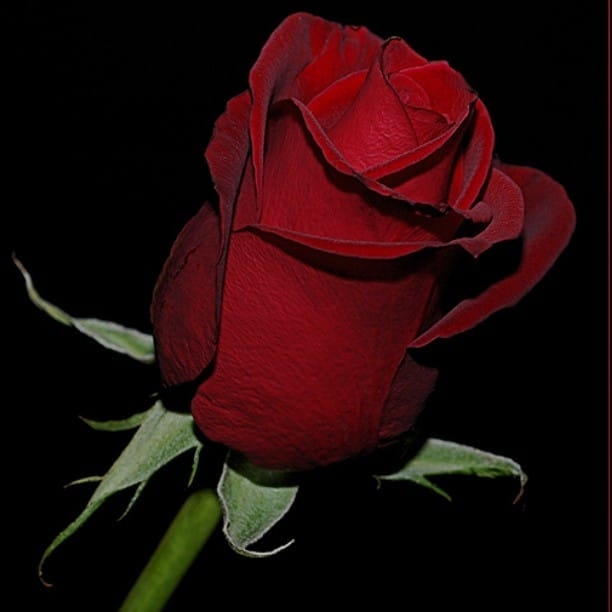 Burak