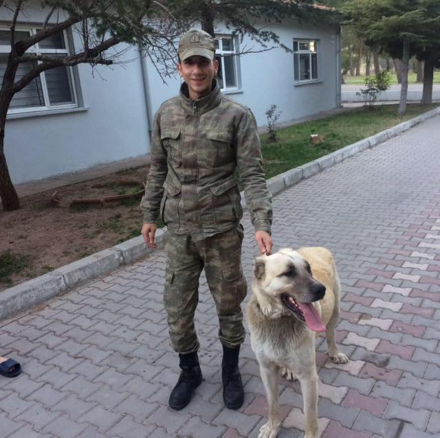 Adnan