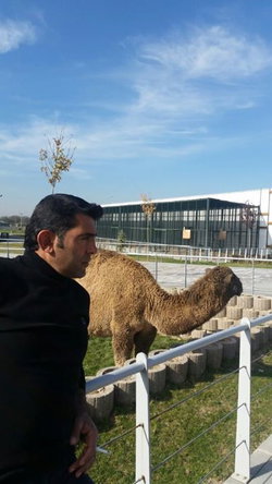 Abdullah