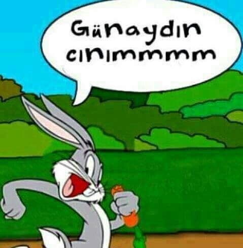 Ayşe